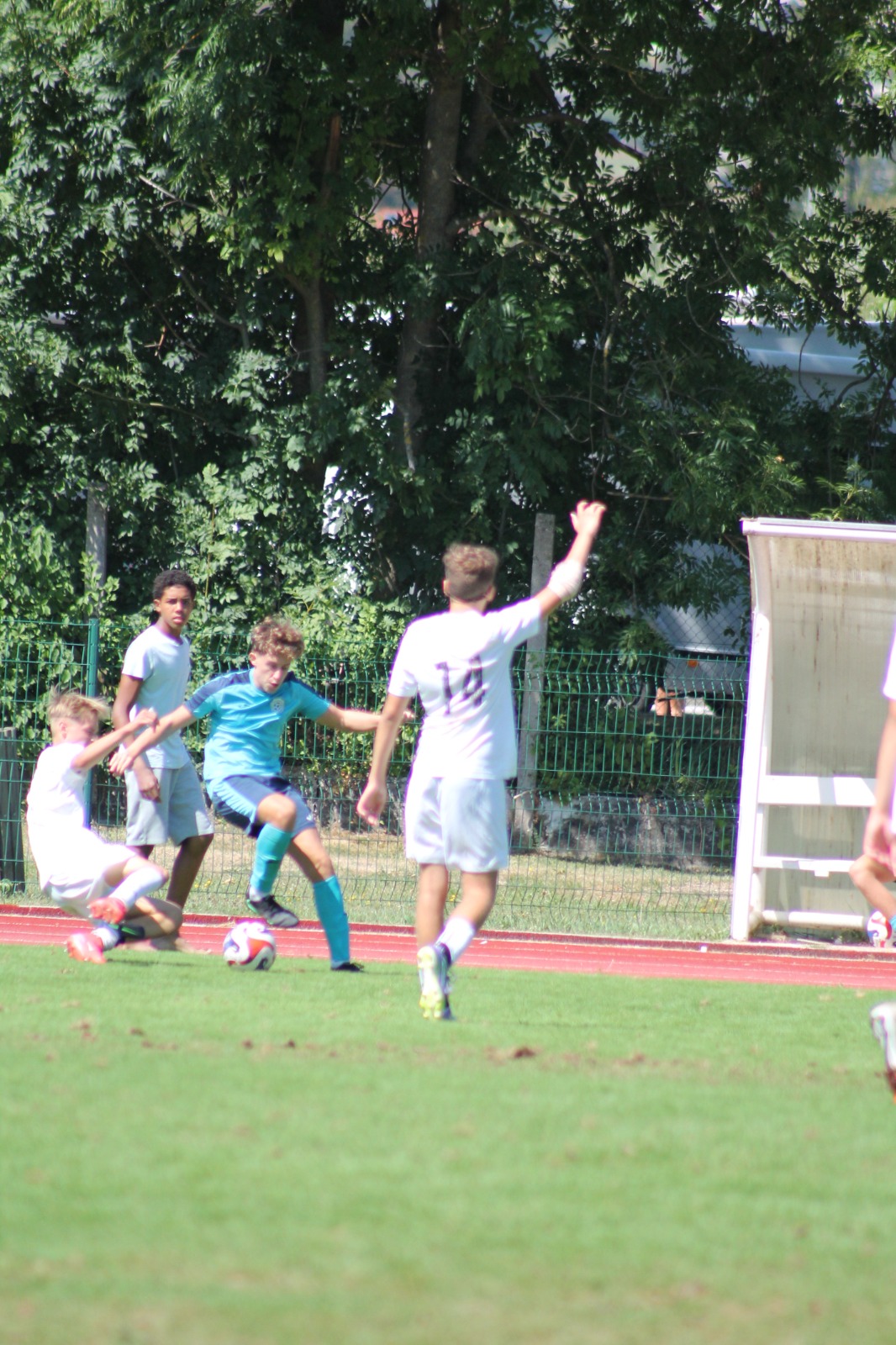 Slika v galeriji 7