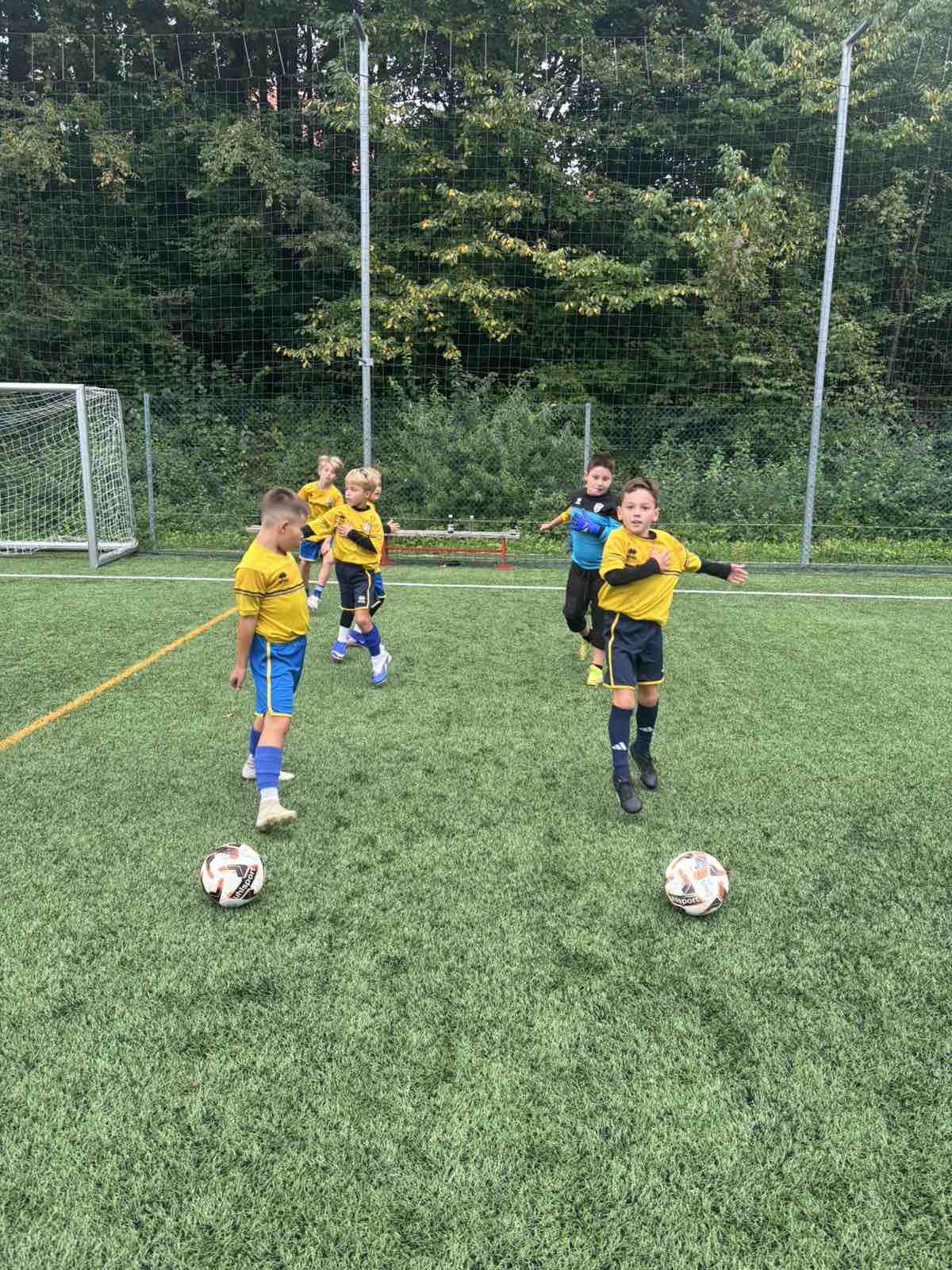 Slika v galeriji 6