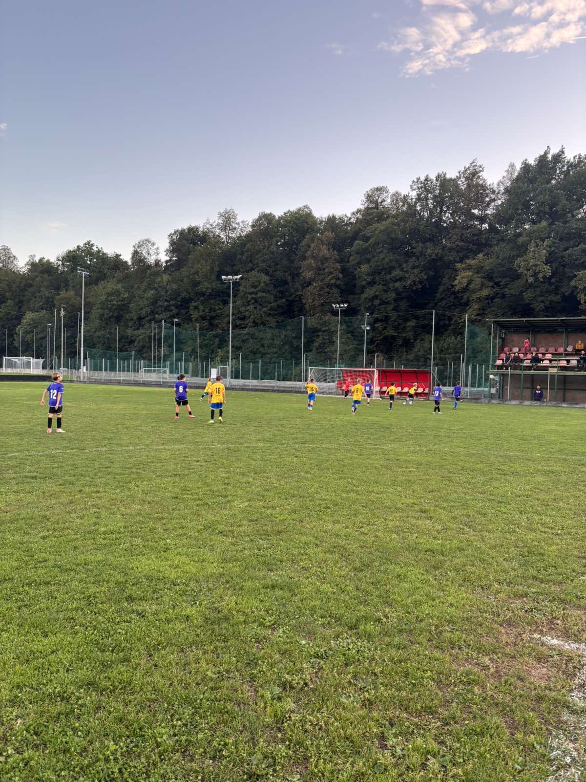 Slika v galeriji 1